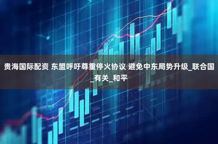 贵海国际配资 东盟呼吁尊重停火协议 避免中东局势升级_联合国_有关_和平